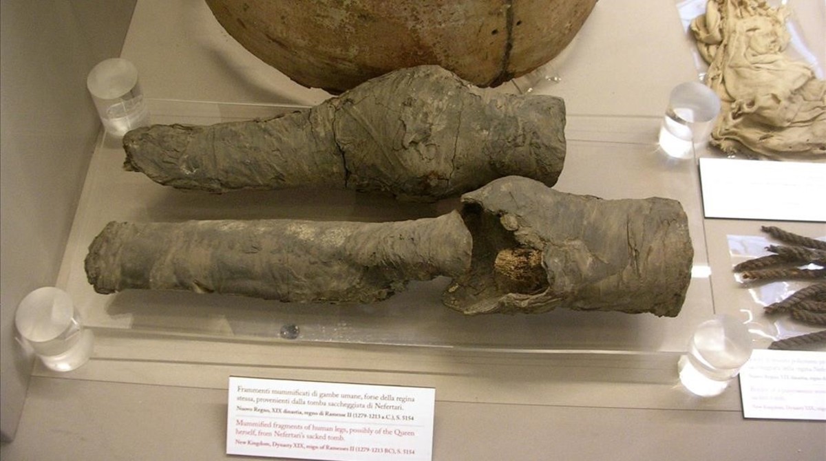 De las supuestas piernas momificadas de Nefertari a la mano devuelta por EEUU a Egipto